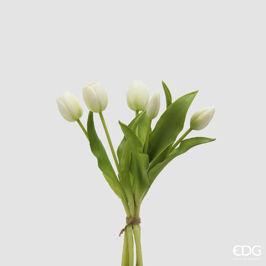 mazzo di tulipani