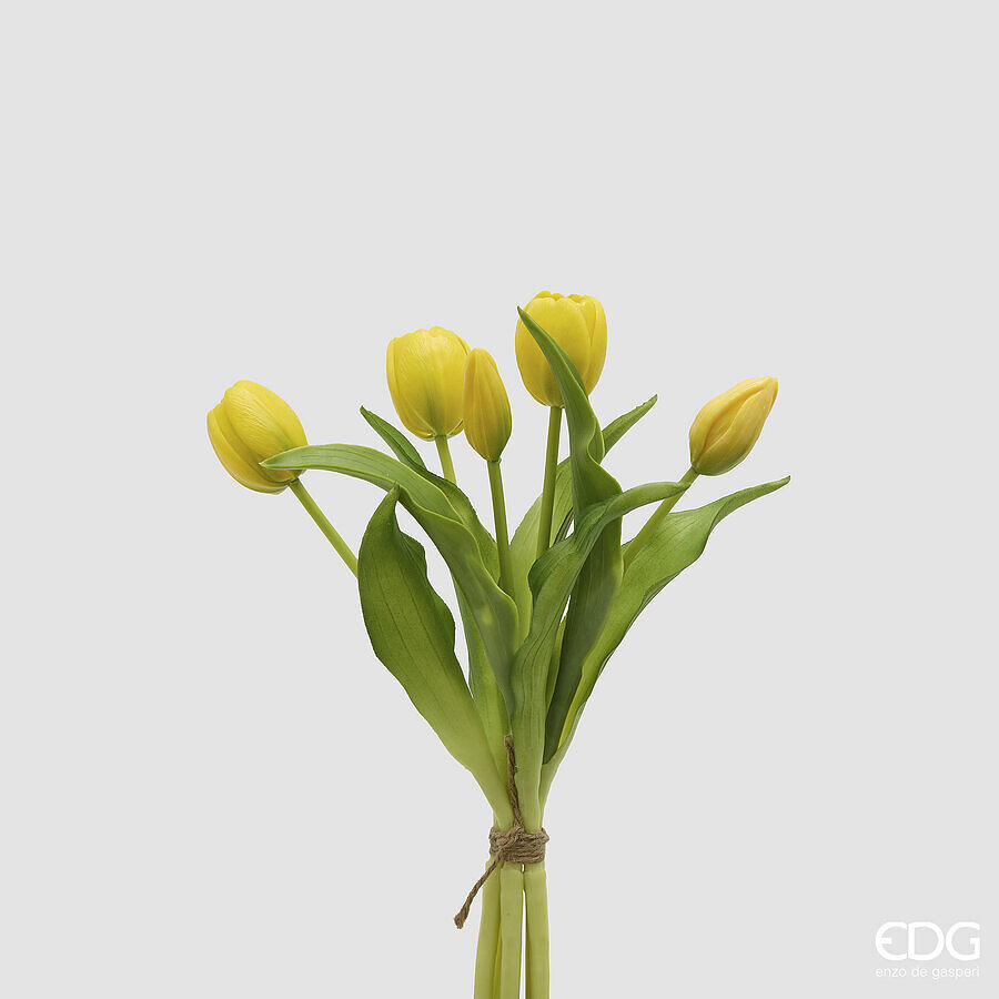 mazzo di tulipani