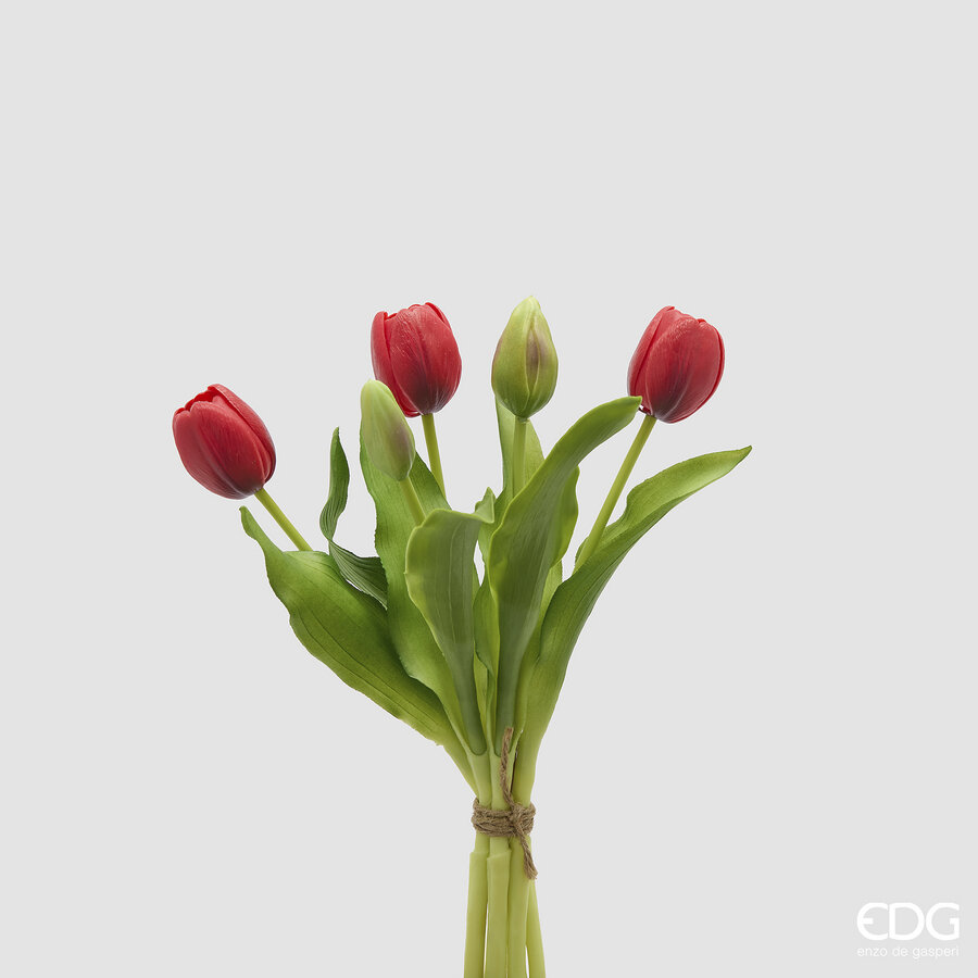 mazzo di tulipani