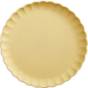 piatto in plastica colorato