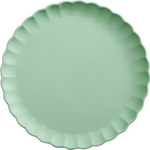 piatto in plastica colorato