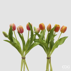 mazzo di tulipani