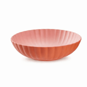 piatto in plastica colorato