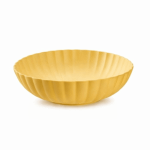 piatto in plastica colorato