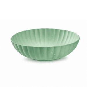 piatto in plastica colorato