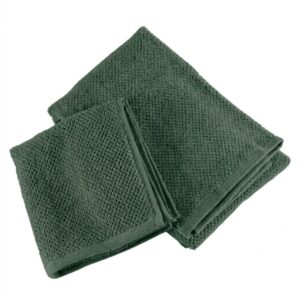 asciugamano viso e ospite colore sempreverde