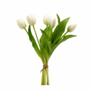 mazzo di tulipani colore bianco