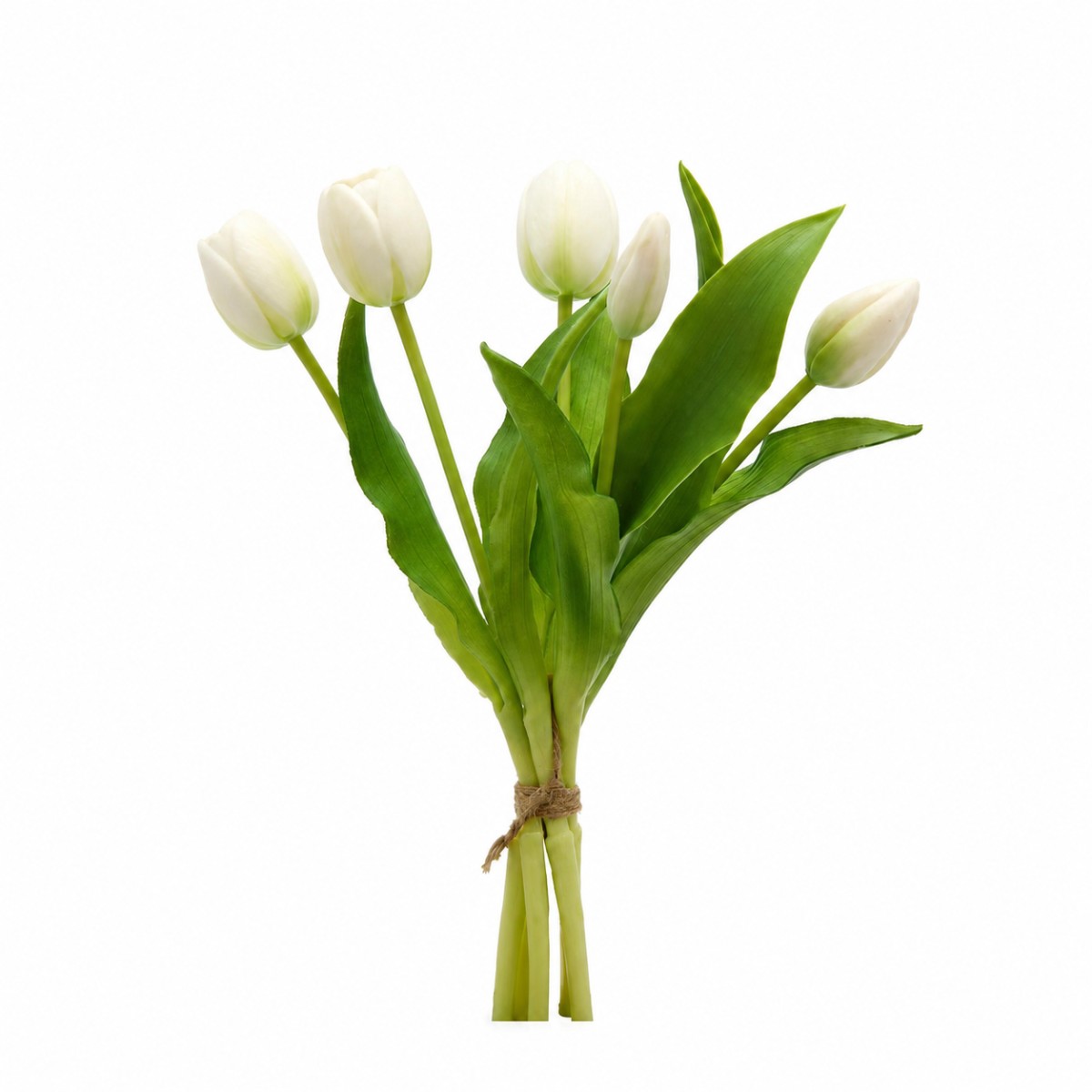 mazzo di tulipani colore bianco