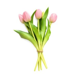 mazzo di tulipani colore rosa