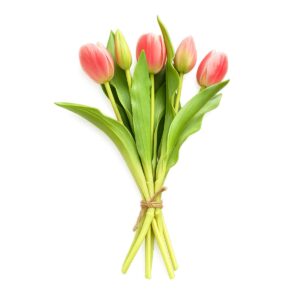 mazzo di tulipani colore rosa